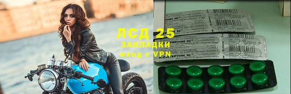 спайс Бородино