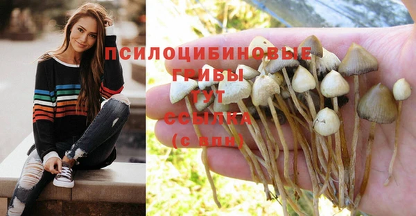 спайс Бородино