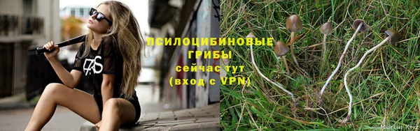 спайс Бородино